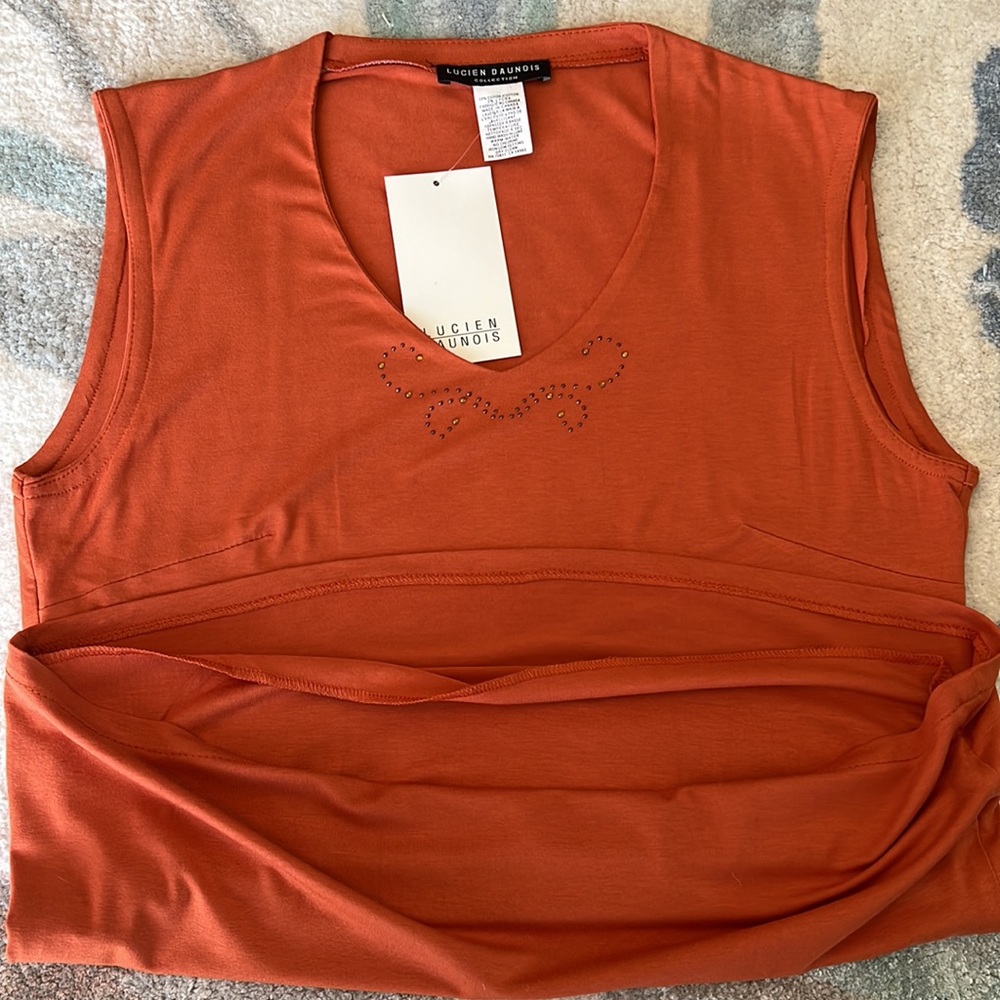 Burnt-Orange V-neck Sleeveless Blouse - Picture 7 of 10